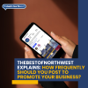 Thebestofnorthwest Explains: How Frequently Should You Post to Promote Your Business?