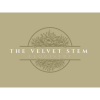 The Velvet Stem: Bringing a Touch of Luxury to Every Moment