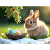 Hop into Spring: Your Ultimate Guide to Easter Fun in Blackburn 2026!