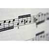 Shrewsbury Town Council Announces Return of ‘Summer of Music’ for 2026