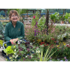 Botanica Garden Design: One year in business, what I've learned.