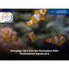 How Aquariums Improve Mental Health and Workplace Wellbeing