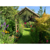 Tom’s open garden weekend to raise money for Macmillan Cancer Support 