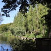 Council agrees revised approach to climate and environmental action