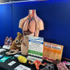 Walsall residents invited to learn about cancer symptoms and screening at Cancer Bus Tour