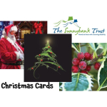 Christmas Cards from The Sunnybank Trust in #Epsom @SunnybankEpsom