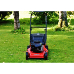 Lawn care: what you should be doing for a healthy-looking lawn!