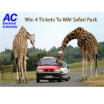 AC Electrical Children's Safari Park Competition