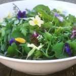 Spring Foraging Events with Suffolk Market Events and Foragers Feast