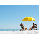 Bring Sunshine into Your Life with Dave Criddle Travel,