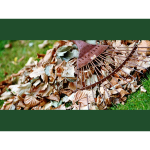 Have you signed up for the new garden waste collection service?