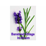 Banstead Village in Bloom @BansteadRotary @BansteadGuild Do you have the best Front Garden in #Banstead?