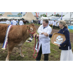 The Countess of Wessex to visit Agrifest South West