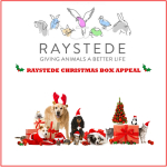 Support the Raystede Christmas Box Appeal