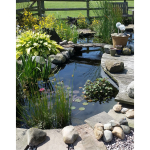 Ponds and water features bring life into any garden, literally!