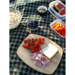 Checklist For A Great Picnic – Part 2.