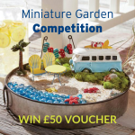 Miniature Garden Competition for Kids
