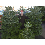 Christmas trees discount - a festive bonus from Shrewsbury’s Love Plants 