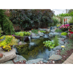 Discover the Beauty and Benefits of Garden Ponds with Ponds Northwest