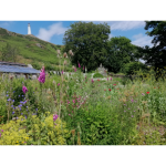 Become a Member of Ford Park