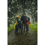 Magical Christmas family events and activities coming to Shrewsbury