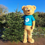 Recycle your Christmas tree for St Wilfrid's Hospice