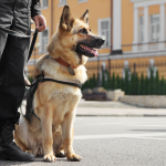 Who Can You Trust to Protect What Matters Most? 