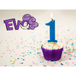 Evo Turns One - Join Our Magical Birthday Celebration!