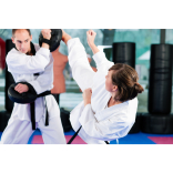 Free Martial Arts Lesson for Kids and Little Dragons in Coventry 