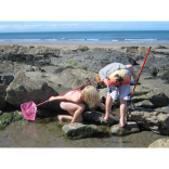 Success for Pembrokeshire Beaches!