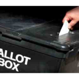Mayoral and Local Elections for Dummies