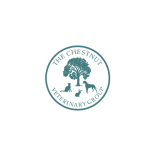 Dental Care for your dog or cat from Chestnut Vets in Hertford and Ware