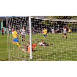 Kingfishers Win it by a Head 