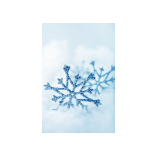 Christmas Parties at the Bellhouse Hotel