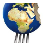 Market Place Europe Set To Delight The Town With Exotic Cuisine Thanks To The 2012 Global Village Market