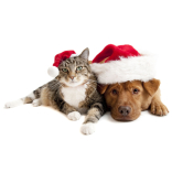 NCP Supports Wadars this Christmas 