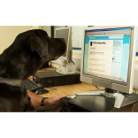 Crime-fighting Dogs Take To Twitter