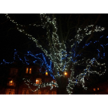Christmas Lights come to Hove