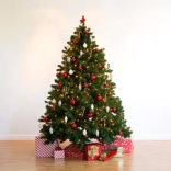 Free advice on fresh trees this Christmas