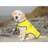 More Guide Dog Volunteers Needed in Bolton