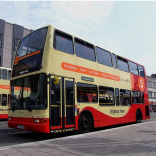 Christmas and New Year Holiday Bus Services in Brighton & Hove - 2017