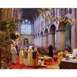 Donkeys Star in Nativity Pageant