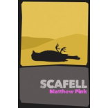 Local Author Matthew Pink Publishes his First Novel 'Scafell'