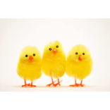 Children's Activities this Easter in Walsall