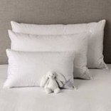 Buy your pillow from Premier Beds or Ultimate Linens for International Pillow Fight Day