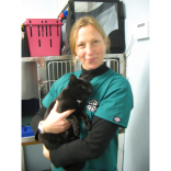Local Vet nominated for Prestigious Award
