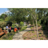 Things to do in Brighton & Hove - 28th June - 4th July