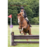 The Suffolk Hunt Pony Club