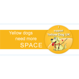 Protect Your Dog On It's Walk!