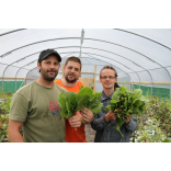 How Can We Help Salford Become Sustainable?
